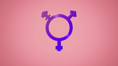 Animation-of-purple-transgender-symbol-on-pink-background