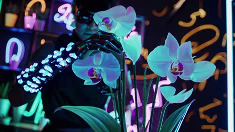 cuidado de las orquídeas cyberpunk