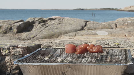 skewers with chicken being put onto a disposable bbq grill on the cliffs by the ocean side on a sunny day