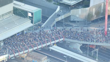 aerial view of a large crowd gathering