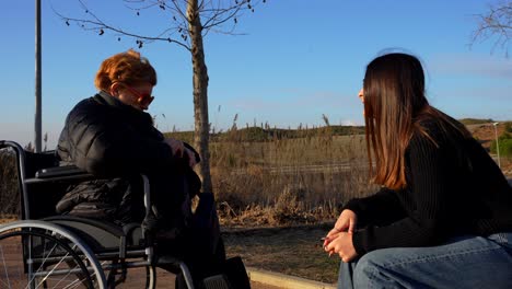 Wheelchair-bound grandmother having a conversation in a park with her granddaughter