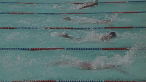 men race in a swimming competition