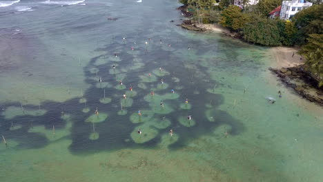 AERIAL:-Stick-Fisherman-in-Sri-Lanka