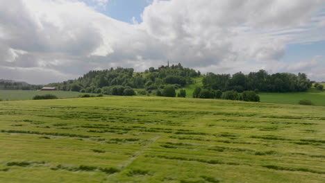 aerial drone view of green wheat field in countryside during springtime
