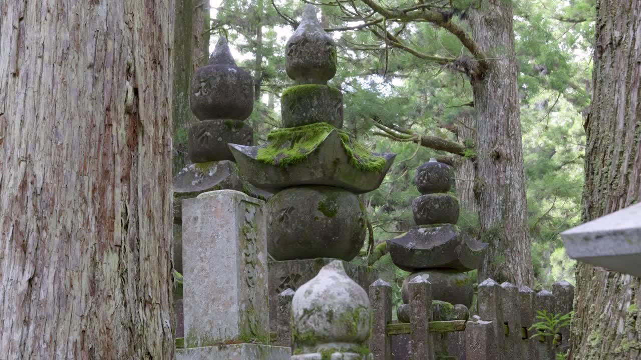 красивые каменные столбы в глубоком пышном лесу, медленный слайдер.