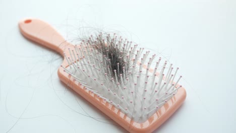 hair loss: a close-up of a hair brush with lost hairs