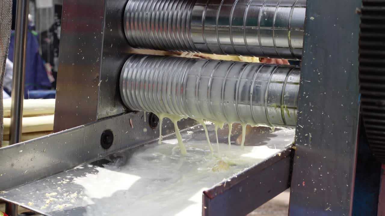 caña de azúcar que se utiliza para hacer jugo de caña de sucre.