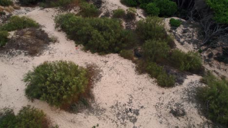 Luftbild-Von-Oben-Nach-Unten-Eines-Mannes,-Der-Durch-Die-Sanddünen-In-Spanien-Läuft