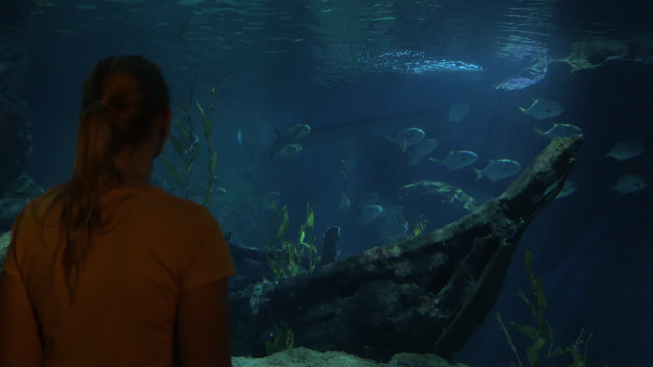 joven en bangkok tailandia en el oceanario de siam mundo del océano mirando a los peces