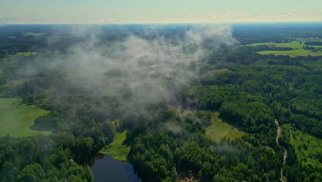 big cloud closeup fly above green humid summer fields with pine trees, skyline background landscape, aerial panoramic drone