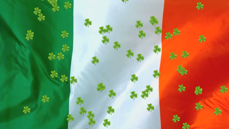 animation of clovers falling with irish flag in background for st. patricks day