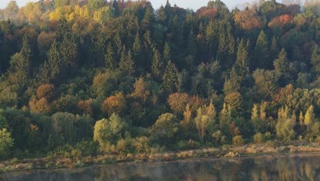 Bäume-Reflektieren-Den-Nemunas-Fluss