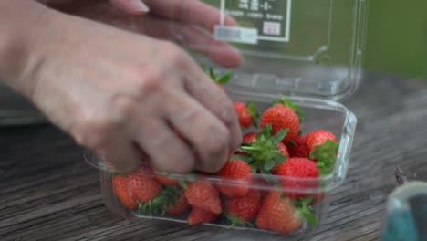 Freshly-picked-organic-red-strawberries-being-arranged-and-packed-inside-plastic-storage-container-by-hand-in-preparation-for-sale-at-market,-filmed-as-close-up