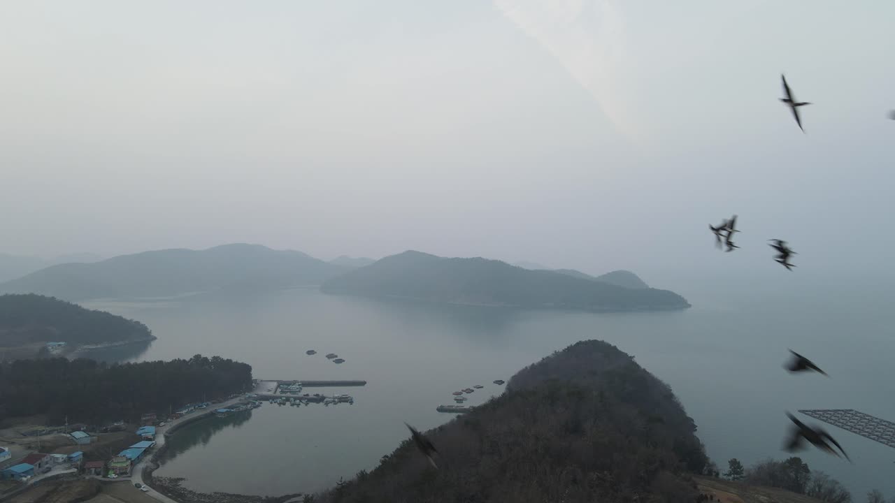 무인 항공기를 매우 가까이 지나가는 새 무리