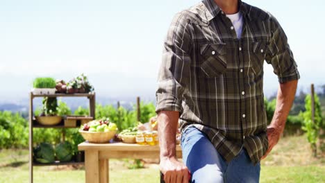 hombre sonriente de pie con la mano en la cadera en el campo