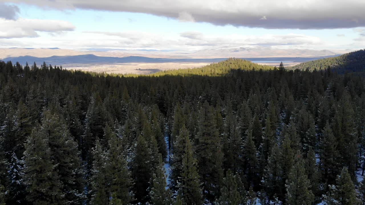 Drone flying over snowy forest