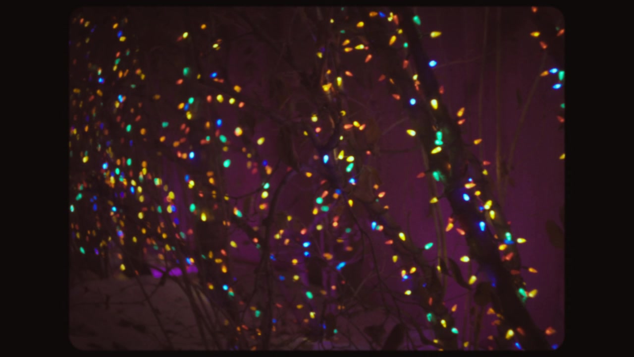 Alberi decorati con ghirlanda natalizia multicolore