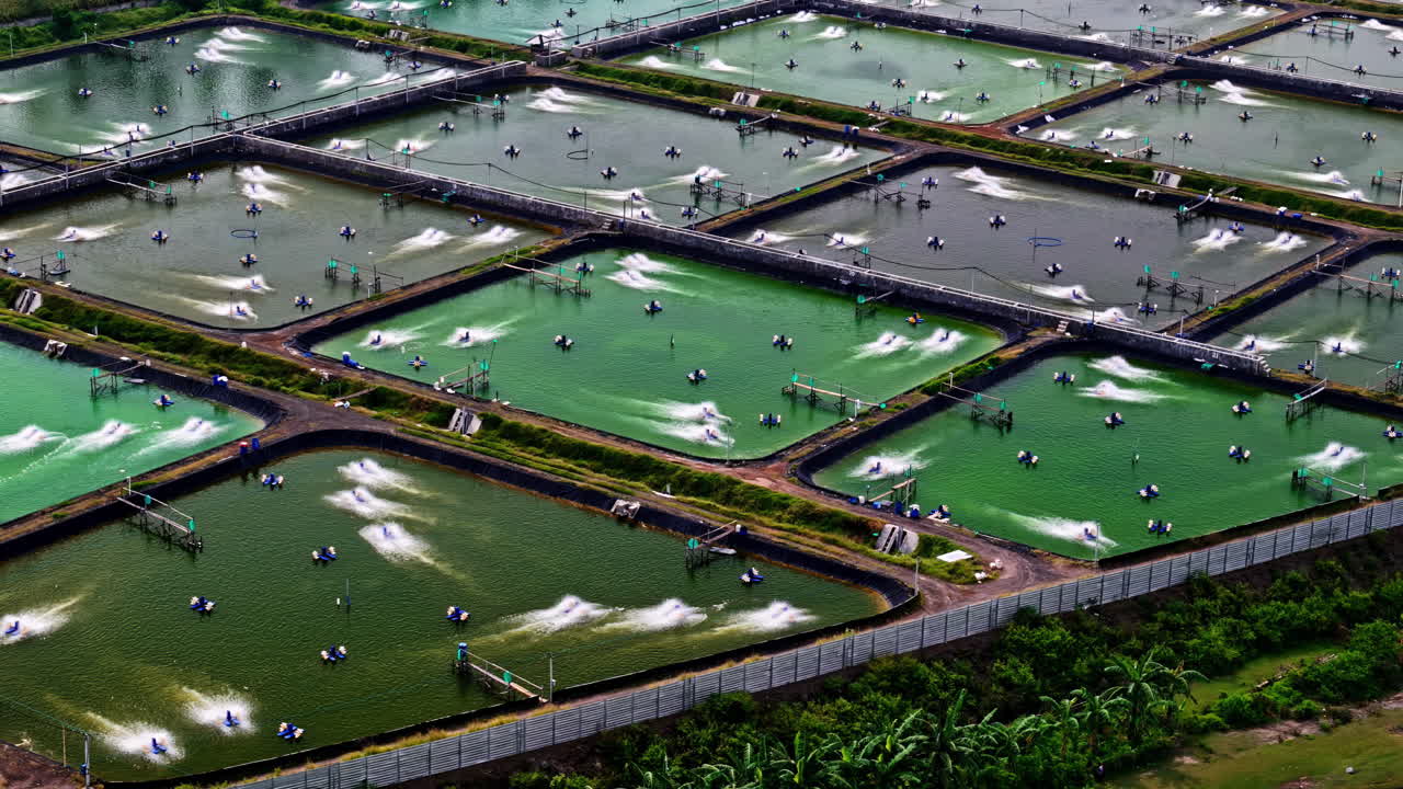 Drone footage of aquaculture ponds for fish and lobster farming with active water aerators