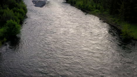 a scenic river flowing through a lush forest