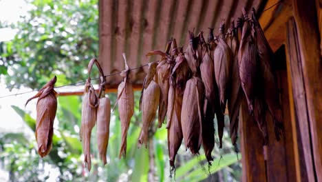 Maize-seed-hanging-under-metal-roof