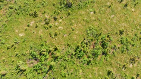 4K-Drohnenvideo-Vom-Wickersham-Dome-Trail-In-Den-White-Mountains-Von-Alaska-An-Einem-Sonnigen-Sommertag