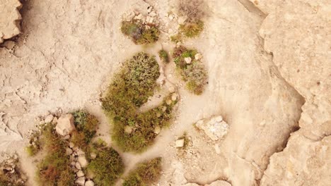 Top-down-aerial-view-of-trail-path-in-Arco-de-Taja-natural-formation,-spiral