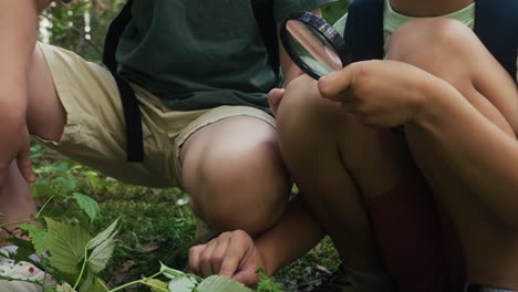 two kids discovering thing in the forest