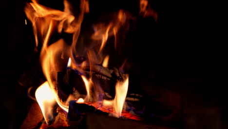 red and orange tongues of fire on black background. wood burning in vivid flame in the fireplace. glowing fire at night. close-up.
