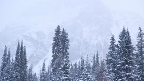 Schneefall-Im-Assiniboine-Nationalpark