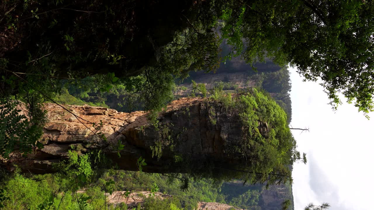 Heaven Pillar in lush vegetation in a sunny day, Yuanjiajie. Vertical, pan left