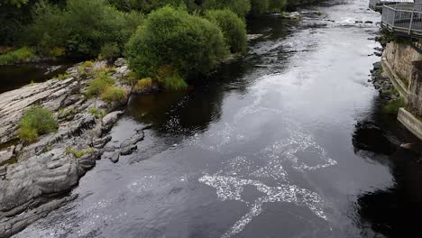 a serene river flowing through lush greenery