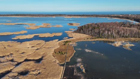 Wooden-Bords-Trail-Through-the-Kaniera-Lake-Reeds-Aerial-Spring-Shot-Lapmezciems,-Latvia