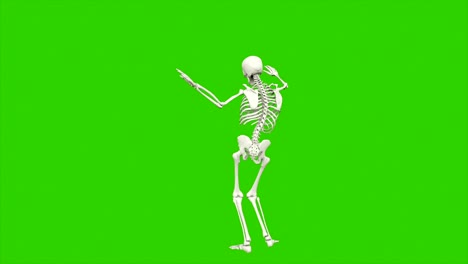 skeleton dancing. seamless loop animation on green screen.