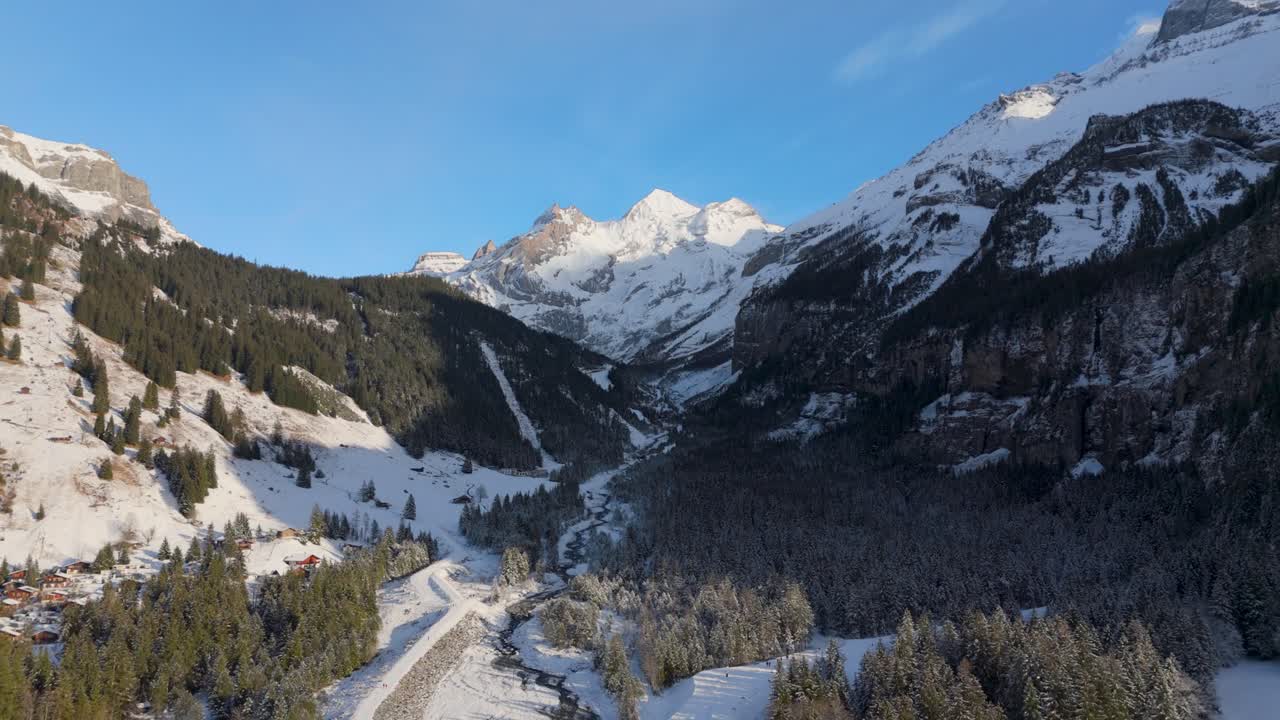 valle alpino soleado con bosques de hoja perenne y picos nevados