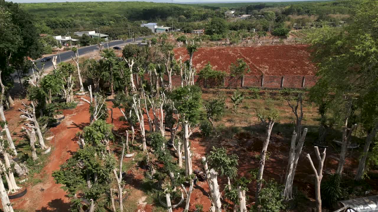 Aerial View of a Tree Nursery and Development Site