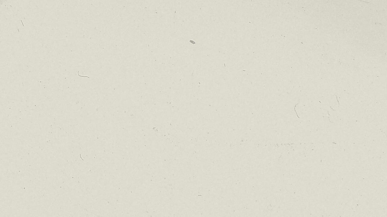 Political Social Video Intro