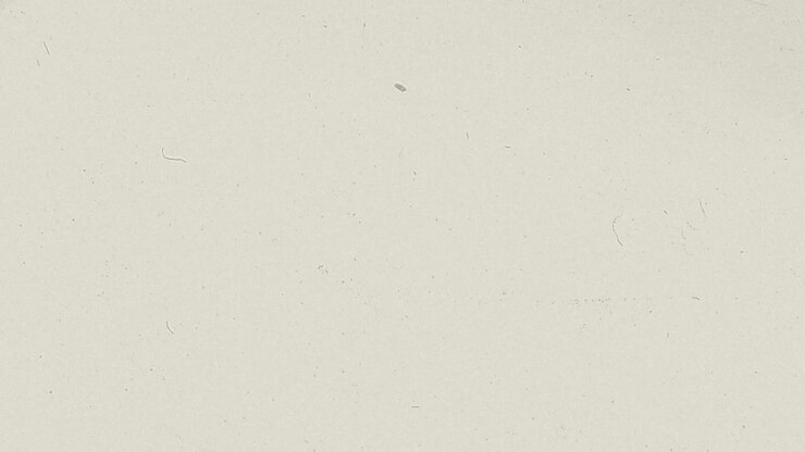 Political Social Video Intro