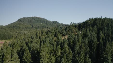 aerial shot of an endless forest and mountains