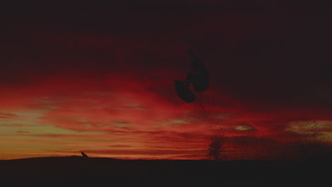 surfer takes on the sunset waves