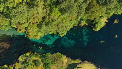 the blue eye spring in albania surrounded by lush green forest and clear waters , aerial view