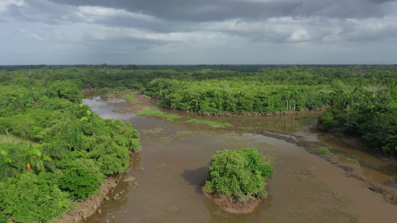 así se ven los bosques tropicales en un día lluvioso, fotografiado con un dron, vegetación verde, cielo nublado, fotografiado desde el aire