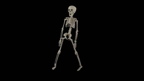 skeleton dance alpha