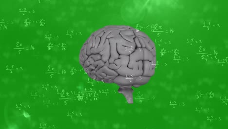 Animation-of-rotating-brain-and-math-formulas-on-green-background