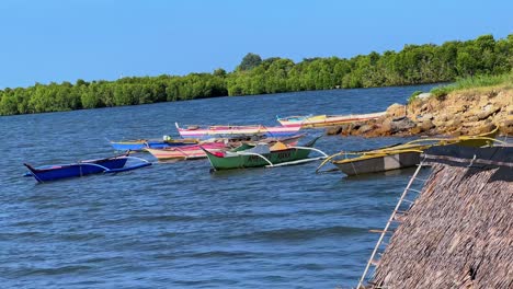 colorful fishing boats floating near lush mangroves and rocky shore under clear blue skies — ideal for travel, nature, or coastal culture themes