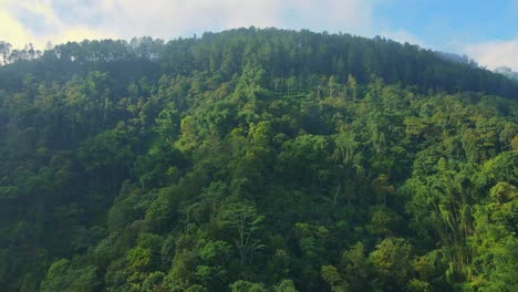 Vista-Aérea-Del-Bosque-Tropical-En-La-Colina