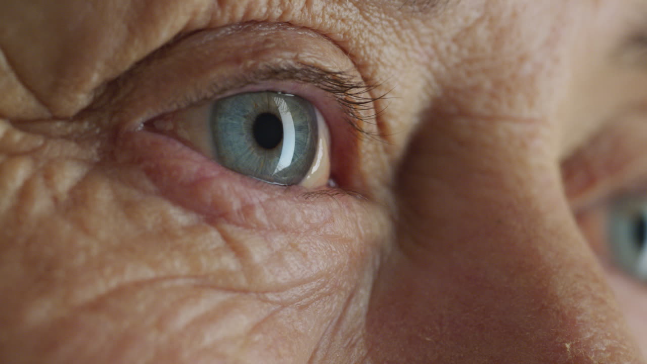 매크로 아름다움 파란 눈  ⁇ 은 여자 가까이에서 주름 광학 개념