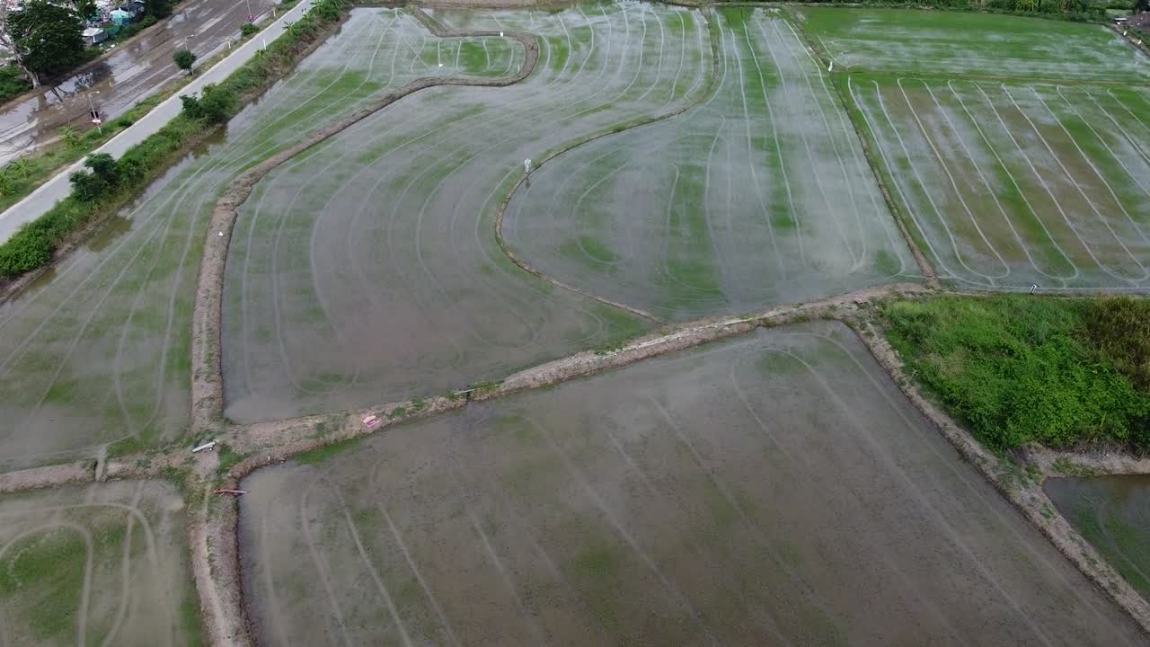 Drone footage captures flooded agricultural fields with curving rural road and cars passing by in Wolfsberg Kranenburg showing peaceful countryside and early farming activity