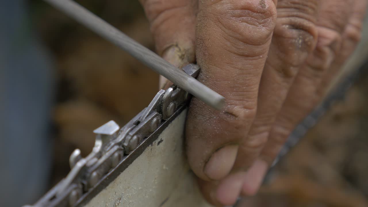 dientes cortados con motosierra que se preparan para cortar madera 4k