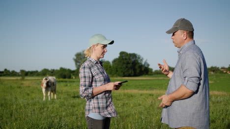 two farmers talk in a pasture and use a tablet 1