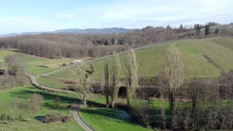 countryside with hills, trees and vineyard, ortenaukreis, nesselried